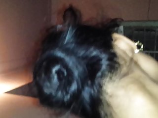 Mäng ameerika dragon porno, india täiskasvanud daamid ja poisid porn